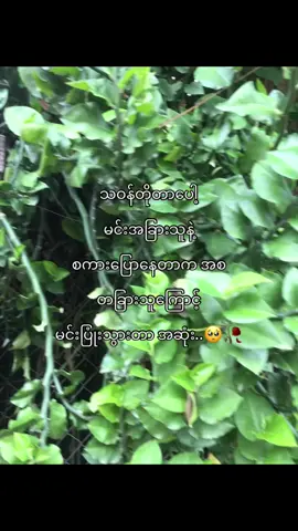 တကယ်ပြောတာပါနော် 😭😖 #foryou #livephotos #crdစာသား💖 #foryourpage 