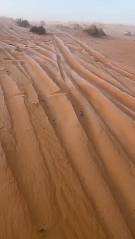 درجة الحرارة وقته -3🥶 #النفود#الشتاء_البرد_اجواء_شتوية#حايل_تيك_توك#explore#Hail#