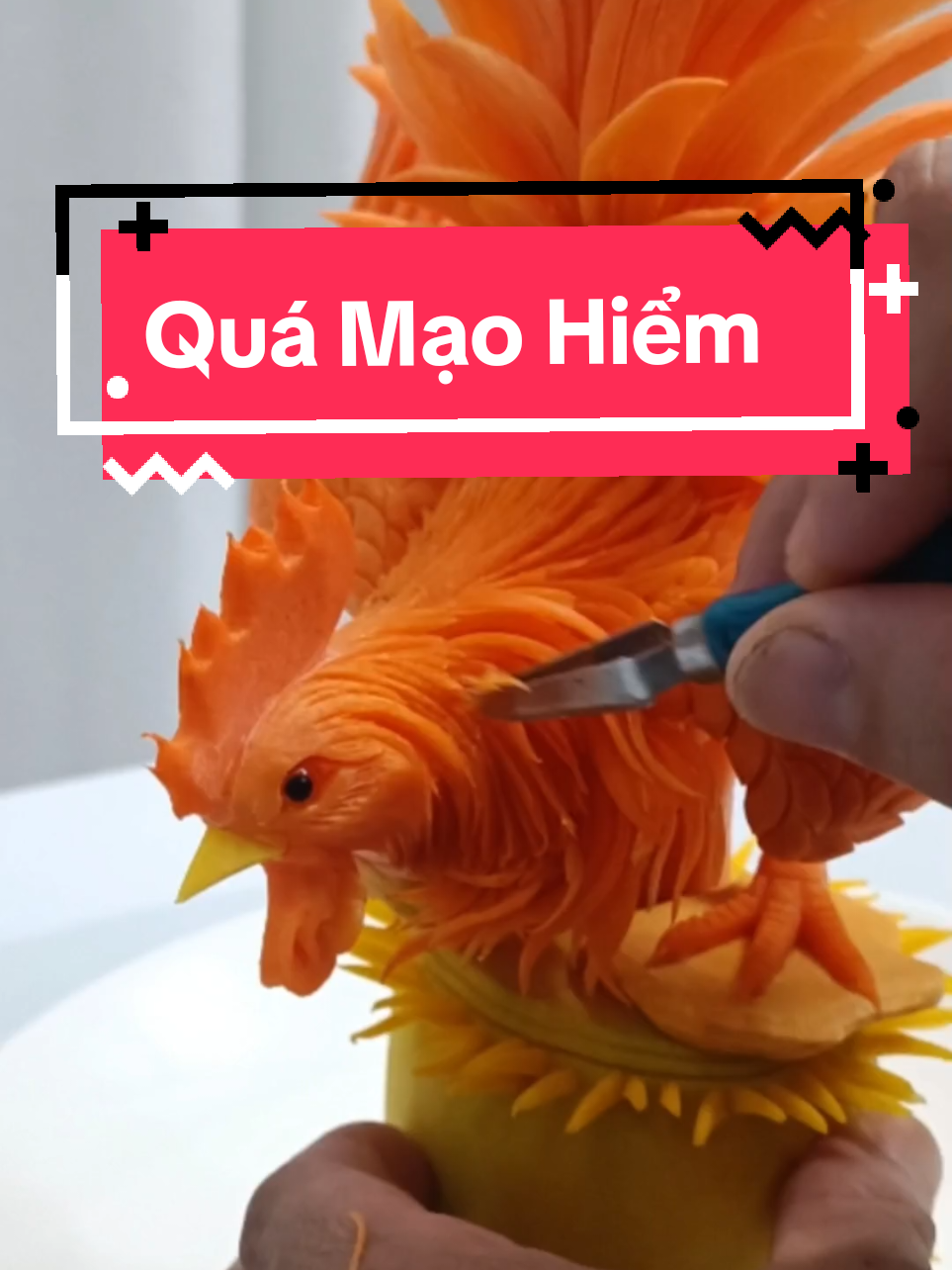 Kệ Họ #cattiacuqua #Dieukhacnghethuat #PhamHoang 