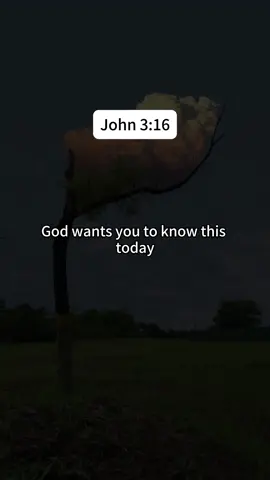 #god #prayer #bible #amen #godlovesyou #john  