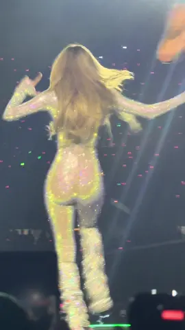 Definition of Professional 💅 #lisa #lisablackpink #lalisamanoban #lalisa #blackpink #deadlineworldtour2025 #DeadlineWorldTourChicago #AlterEgo #dropsomemoney 