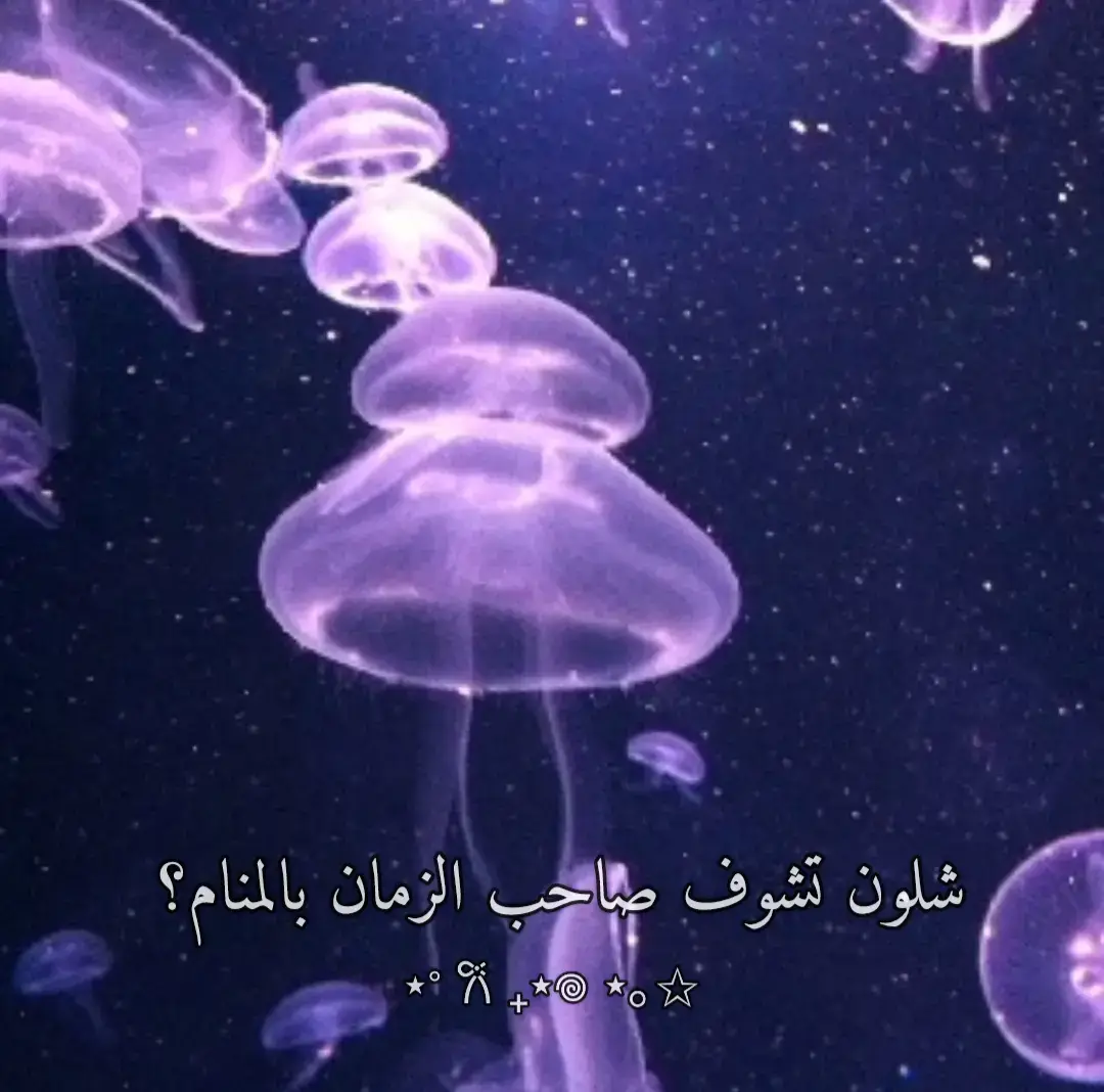 #اللهم_صل_على_محمد_وآل_محمد  #اللهم_صل_على_محمد_وآل_محمد  #اللهم_عجل_لوليك_الفرج  #لاحول_ولا_قوة_الا_بالله_العلي_العظيم  #العراق  #القران  #fffffffffffyyyyyyyyyyypppppppppppp  #fyp #fyp  #f  #foryou  #foryoupage  #v  #viral  #viraltiktok #اللهم_صل_على_محمد_وآل_محمد  #اللهم_صل_على_محمد_وآل_محمد  #اللهم_عجل_لوليك_الفرج  #لاحول_ولا_قوة_الا_بالله_العلي_العظيم  #العراق  #القران  #fffffffffffyyyyyyyyyyypppppppppppp  #fyp #fyp  #f  #foryou  #foryoupage  #v  #viral  #viraltiktok