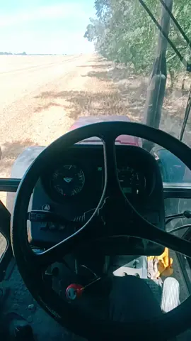 🐺😂