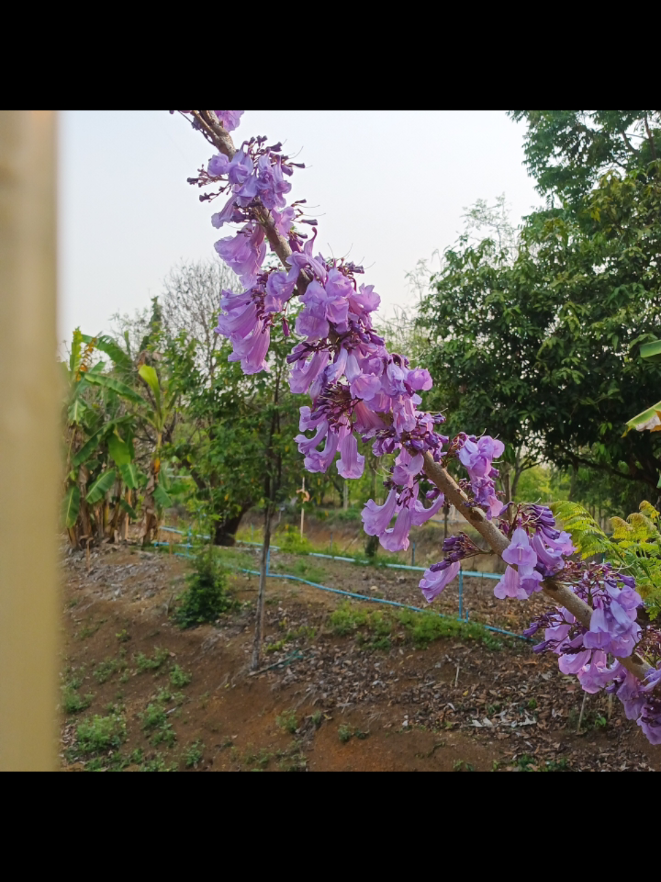 #เทรนด์วันนี้  #ขอเถอะโยม #คลิปเพิ่มเพื่อน 