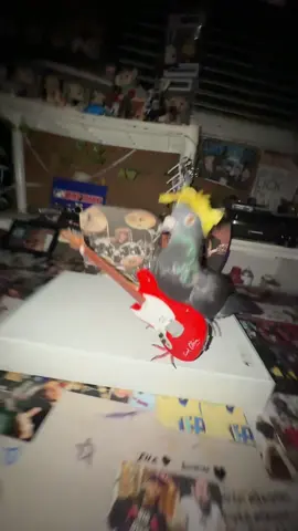 LVE NIRVANA CONCERT!!! #nirvana #pigeon #kurtcobain #fyp #concert #live #viral 
