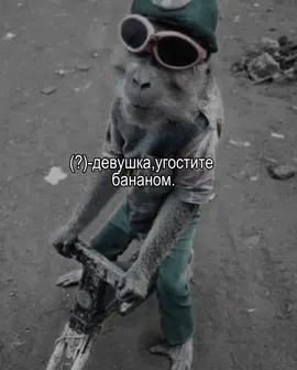 @Итальянская сучка если бы не я ел бы свои бананы всю жизнь. #fyp #or #jennie #viral #fry идея не моя.