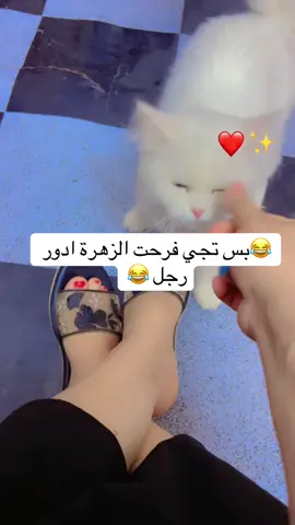#CapCut #محضوره_من_الاكسبلور_والمشاهدات #شعب_الصيني_ماله_حل😂😂 