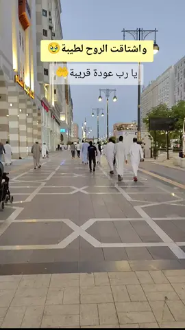 المدينة المنورة حيث الطمأنينة والسكينة 🩵 #السعودية #المدينة_المنوره #المسجد_النبوي #explore #الشعب_الصيني_ماله_حل😂😂 #ابن_الاسلام📚 