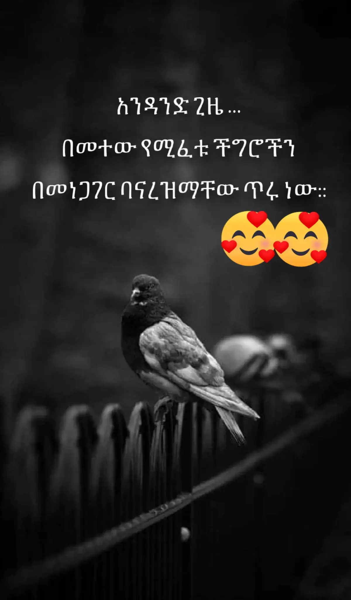#አማራዬ💚💛❤አማራዬ💚💛❤️🐅ፋኖ❤️🐅የኔ 