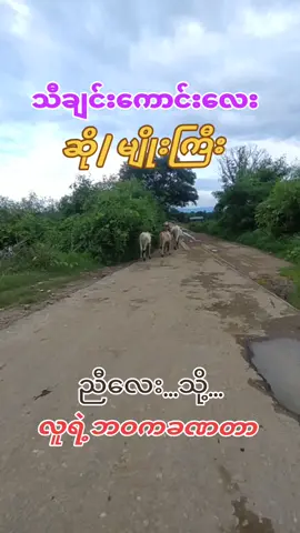 #သီချင်းကောင်းလေးတစ်ပုဒ် #လူရဲ့ဘဝကခဏပါ #foryou #fly #flypシ #vrial 