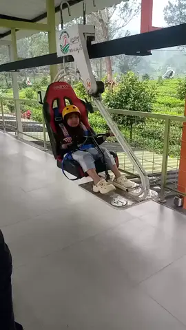 Terbang