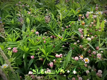 #лвпг #очмл #володядавыдов #юраконев #юркаиволодька #вололя #юрчка 