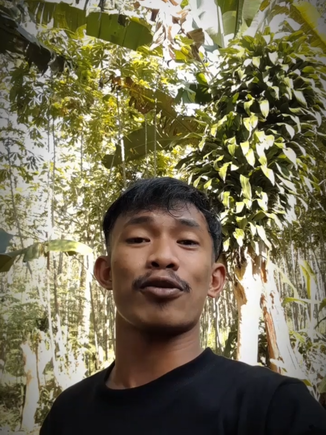 Jadilah  Serigala Yang Berani Berburu Sendirian #fyppppppppppppppppppppppp #fypviralシ #fypシ゚ #CEP_GHOZIN #katakatamotivasi #katakatabijak #katakatacinta #katakataromantis #katakatasedih #motivasihidup #katakatasunda #motivasidiri #sindiran 