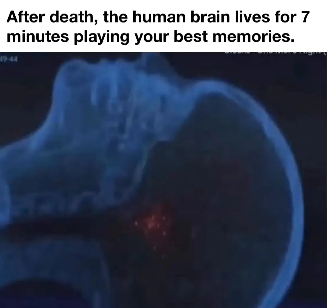 #death #brain 