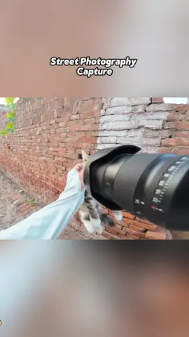 street photographer