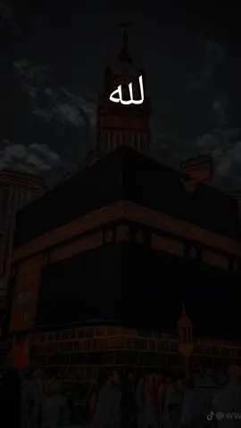 #CapCut 