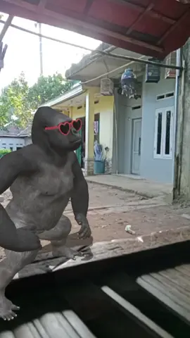 nggak jadi joget gara