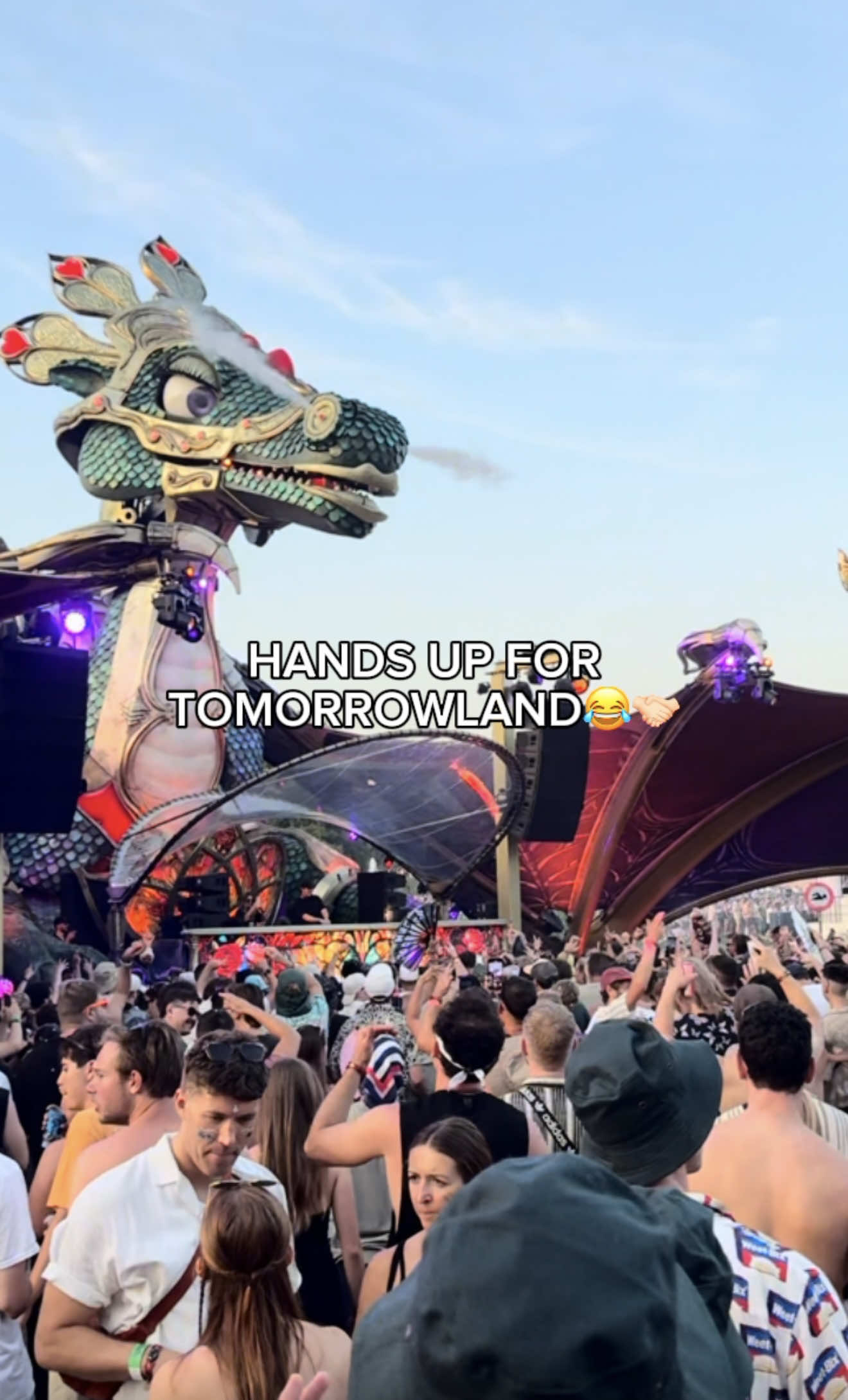 Never know what you will see in a @1991music crowd at Tomorrowland 🤝🏻😅 #tomorrowland #musicfestival #drumandbass #dnb #rave #edm #1991 #dj 