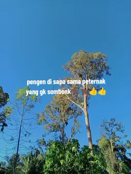 #bismillahfyp 