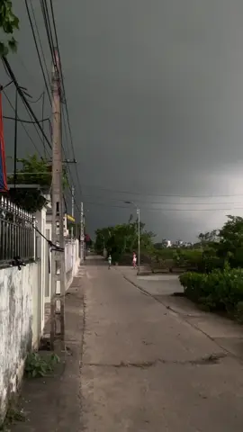 mưa mùa hạ.