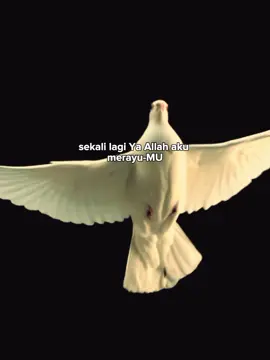 #pyp #quotes #katahati 