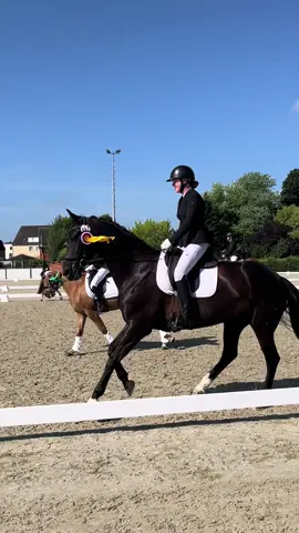 Womit hab ich bitte dieses tolle Pferd verdient??!🥹 wir können heute nach längerer dressurturnier Pause die DrA für uns entscheiden 🥹🥇 so unendlich stolz!! #bestespferd 
