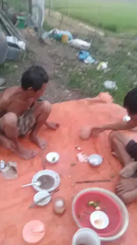 Sư phu nay tê cu lê nua rôi .
