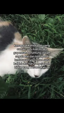#trending #katakatagalau #4u #fyp #katakata #katakatasad #galau 