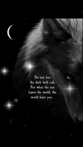 #wolfqoutes #quotes  #wolf #wolvesoftiktok #wolfpack 