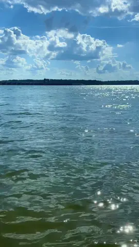 Catch me if you can 