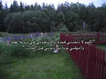 #اللهم اغفر لي وللمؤمنين والمؤمنات والمسلمين والمسلمات الأحياء منهم والأموات 🤍#قران #دعاء 