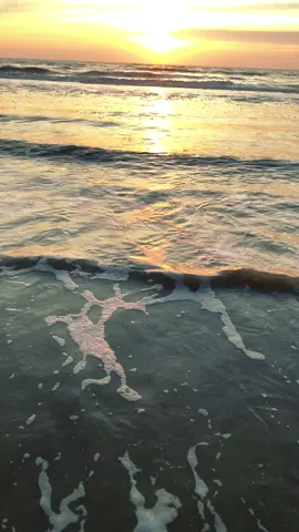 🌅