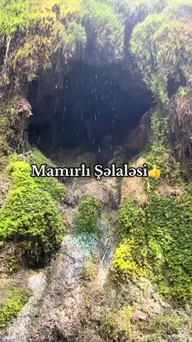 Qax rayonunda yerləşən *Mamırlı Şəlalə* — Azərbaycanın ən gözəl və sakit təbiət guşələrindən biridir. Adından da göründüyü kimi, şəlalənin ətrafı sıx *yaşıl mamır* qatları ilə örtülüdür və bu, ona unikal görüntü verir. Qısa Məlumat: - 📍 *Yer:* Qax rayonu, İlisu kəndindən bir qədər aralıda, meşəlik və dağlıq ərazidə - 💧 *Hündürlük:* Təxminən 15-20 metr - 🌿 *Təbiəti:* Gözəl meşə mənzərəsi, sakitlik və təmiz hava - 🥾 *Yürüş:* Şəlaləyə tam çatmaq üçün müəyyən məsafə piyada getmək tələb olunur - 📸 *Turizm:* Fotoqrafiya, gəzinti və dincəlmək üçün ideal məkandır Necə getmək olar? - Qax rayonun Ləkit kəndinə daxil olursuz.  Şəlaləyə getmək üçün xüsusi avtomobiller xidmət göstərirki biz 20 manat ödəniş etdik daha sonra şəlaləyə qalxmaq üçün piyada getdik sonunda gözəl mənzərə ilə qarşılaşdıq. Məncə getməyə dəyər👍#mamırlışəlalə #mamırlı #mamırlışəlaləsi👌 #qax #ilisu❤️ #təbiət #keşfet #ləkitmamırlışəlalə #keşfetteyizzz #ləkit 