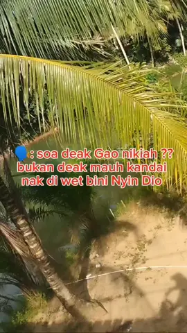 🗣️