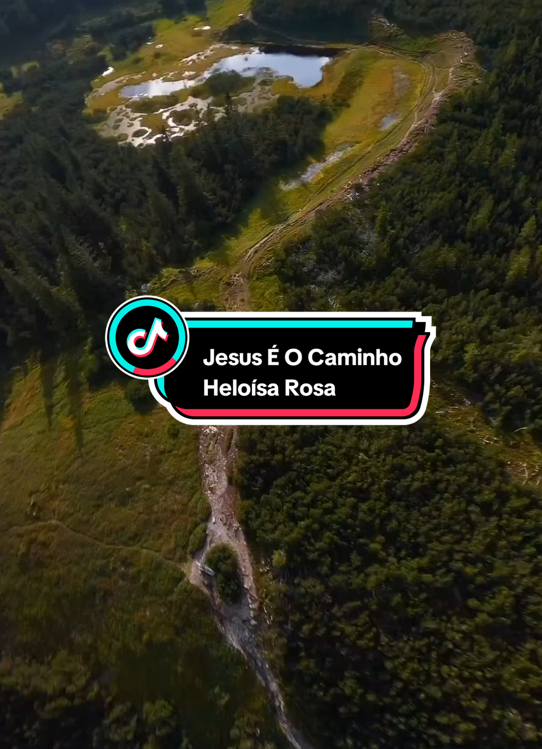 Jesus É O Caminho - Heloísa Rosa  #jesuseocaminho #heloisarosa #hinosantigos #gospel #fyp #viraltiktok 