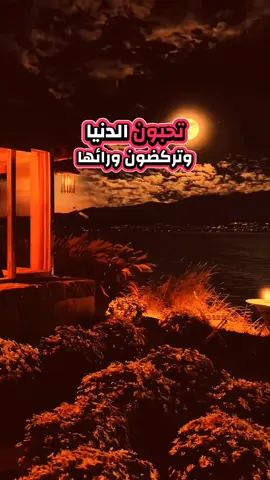 تحبون الدنيا #فيديوهات_دينية #ترند_تيك_توك #تيك_توك #الشعب_الصيني_ماله_حل😂😂 #🌾🇪🇬Ali_Hassan🇪🇬🌾 