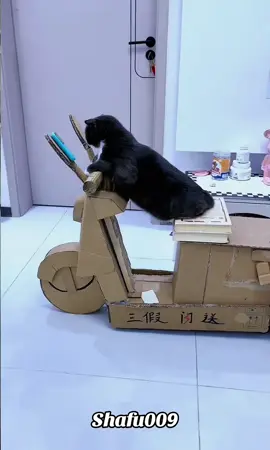 #粉丝一千万#pet#pets#cute#funny#viral#dog#cat#funnydog#funnyvideos#foryou#IoI#fyp#fypシ゚ 