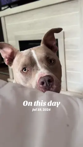 #onthisday 