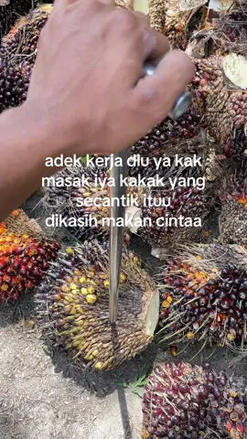 #storysawit🌴🌴 #sawitontiktok #sawitriau #pemuatsawit 