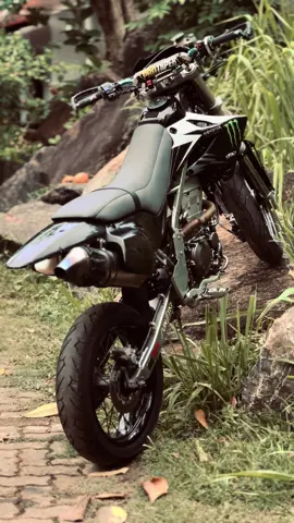 🫦🇯🇵🖤 #Matara #kawasaki #dtracker ##monstr 🇯🇵