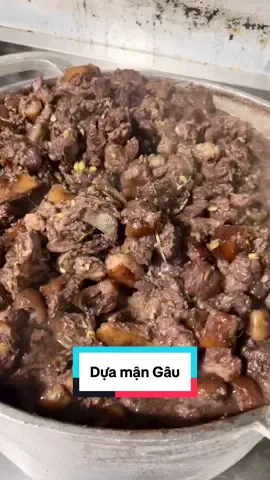 Mưa bão rồi vitamin gâu gâu thôi ae ơi #xuhuong #Denhatthitcho #thitcho #thitchomamtom 