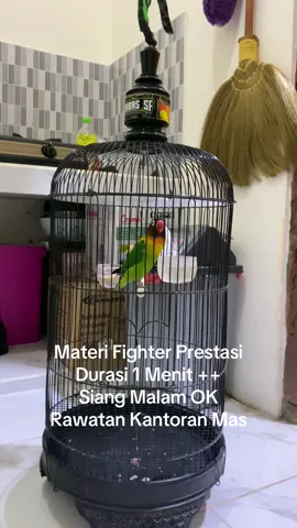 Barang bagus jangan sampai lolos ✍️