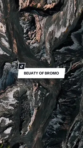 Tempat yang gak pernah bosen dikunjungi meskipun berkali-kali, karena seindah ini ✨#bromo 
