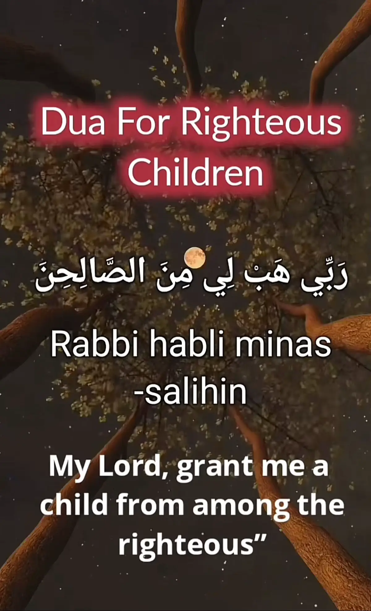 #muslim#muslimtiktok#fyp#dua🤲🤲🤲🤲 