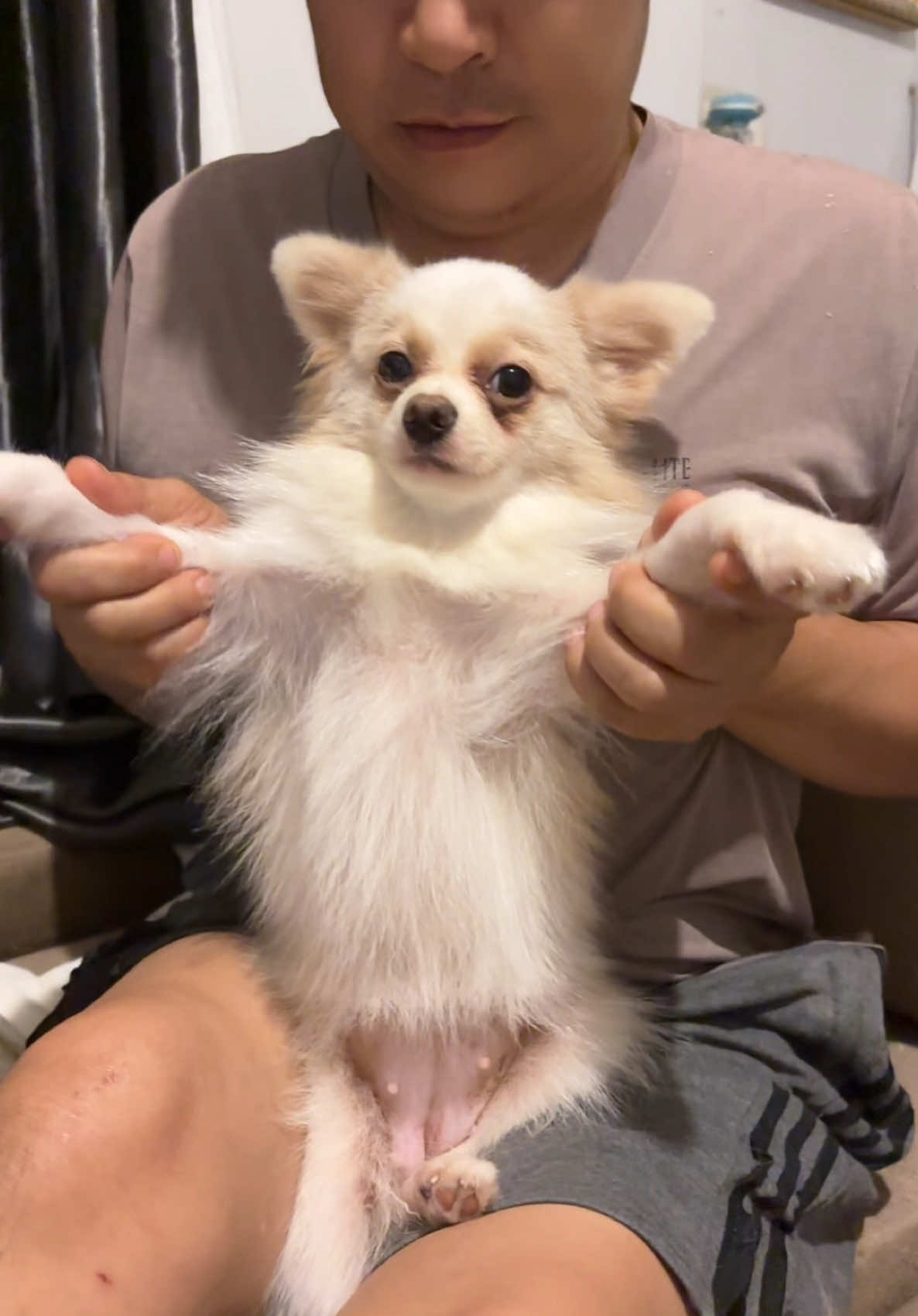 น้องไข่มุกรายงานตัวค่ะ🤣 #น้องไข่มุก 