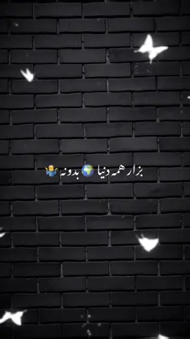 #CapCut #afghani #آهنگ_افغانی #آهنگ_ایرانی #آهنگ_جدید 