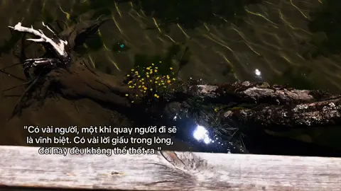 #trngn_n 