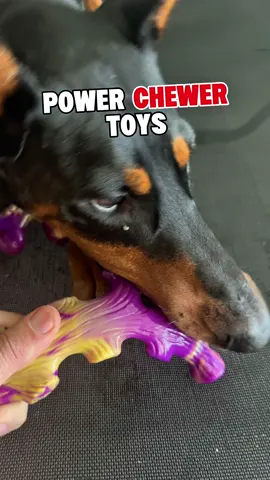 What’s the Best Dog Toy for Aggressive Chewers That Actually Lasts? #dogtoys #chewingtoysfordogs #toughdogtoys 
