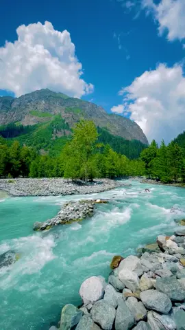 Dujanga kumrat valley/19/7/2025❤️❤️#kumrat_valley #nature #fyp #foryou #foryoupage 