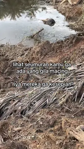 Sepi #katakata #mancing 